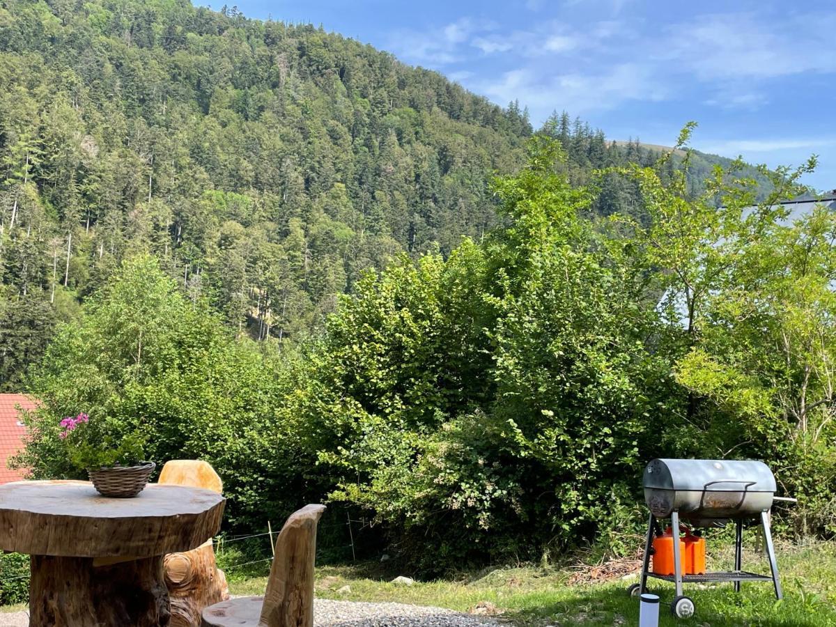 Le Chalet Du Coeur Mittlach Bagian luar foto