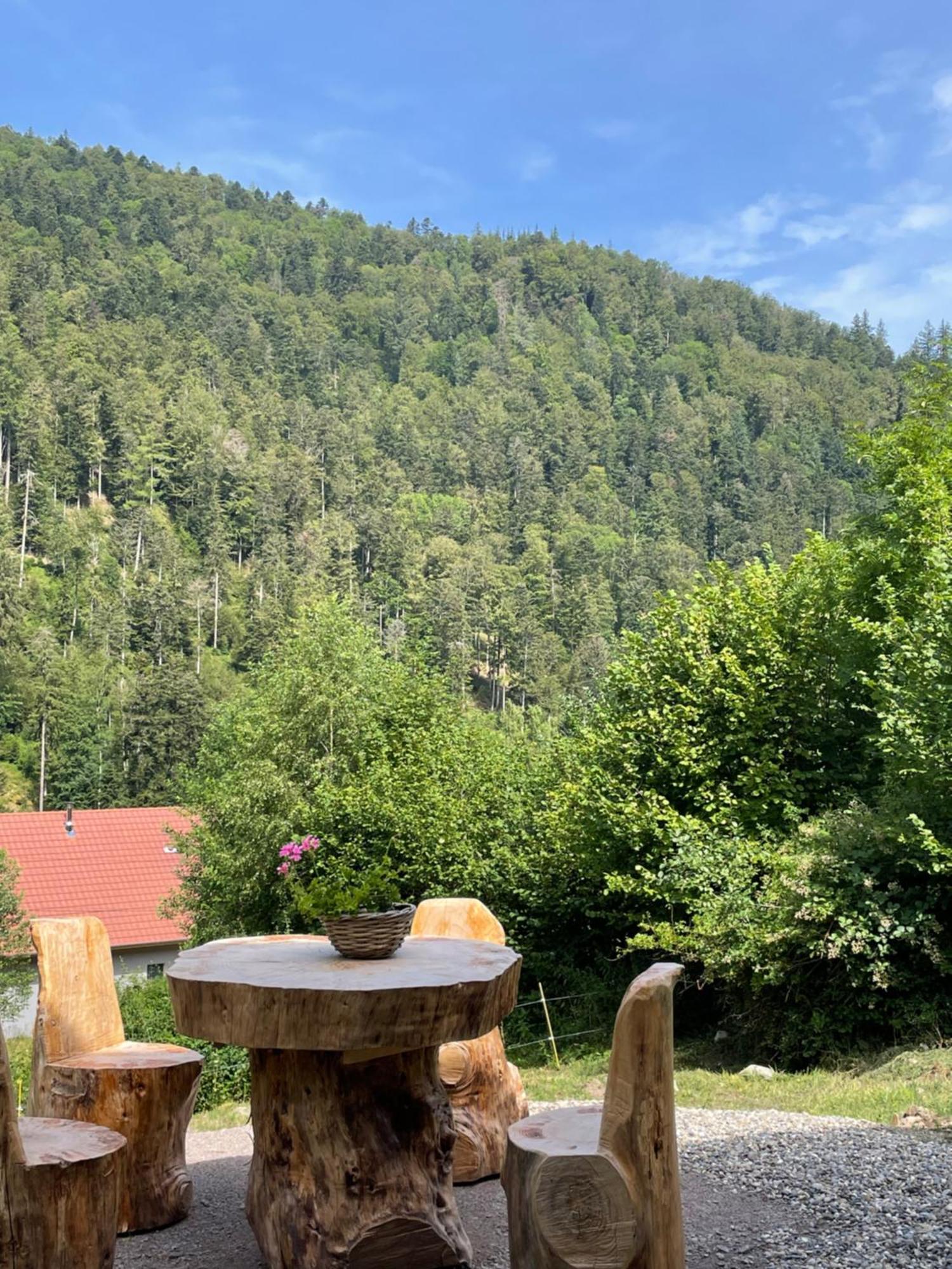 Le Chalet Du Coeur Mittlach Bagian luar foto